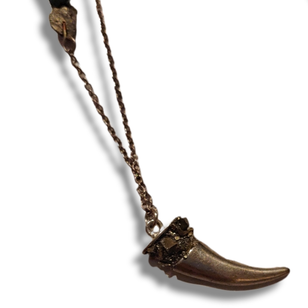 SOLD Bear Tooth and Turquoise Pendant Necklace - Picture 2 of 3